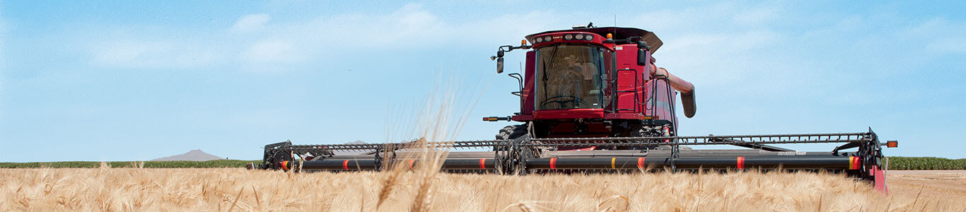Case IH Combine in a Field
